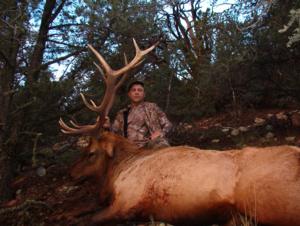 Congratulations goes out to Michael Rex from Missouri and guide, Criss Padilla, for hanging in there and not giving up!  They experienced several equipment malfunctions during the hunt and were still able to get it done on the last afternoon of a 5 day hunt by harvesting this New Mexico 6 x 6 bull elk!  Persistence paid off!  Good job guys!